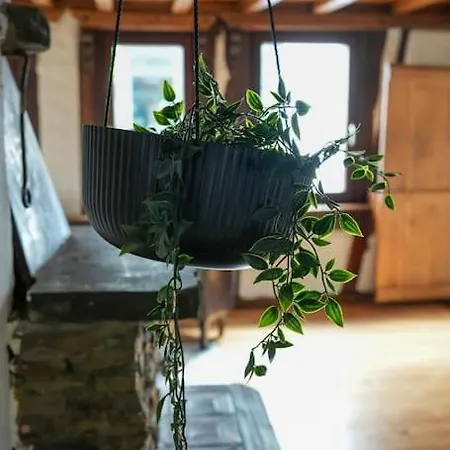 Διαμέρισμα Charmante Fachwerk Mit Terrasse In Der Altstadt