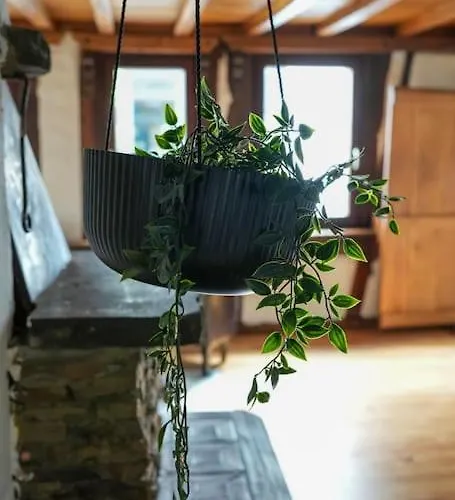 Apartamento Charmante Fachwerk Mit Terrasse In Der Altstadt