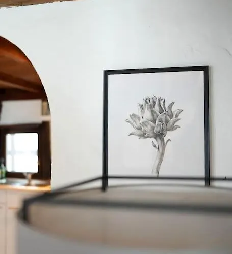 Apartamento Charmante Fachwerk Mit Terrasse In Der Altstadt *